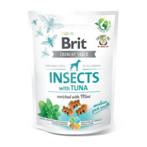 Brit insects with tuna