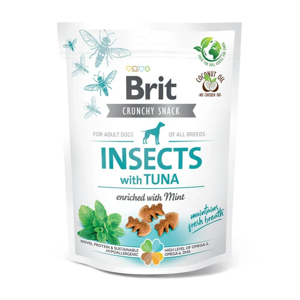 Brit insects with tuna