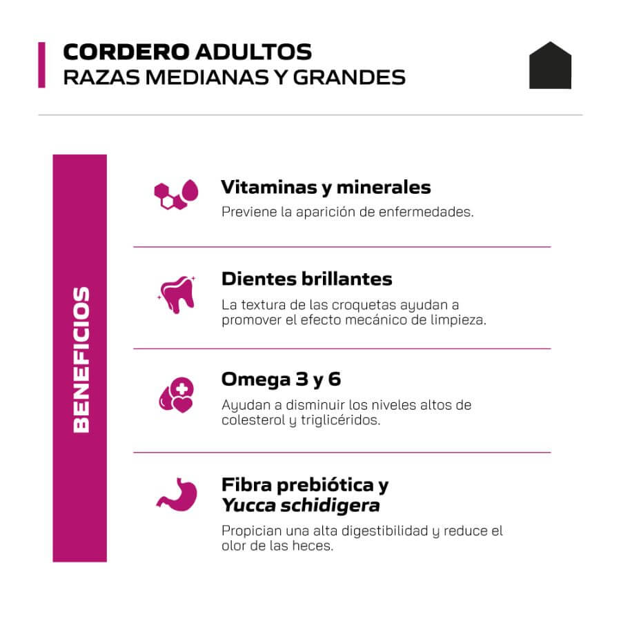 Canbo adulto cordero razas medianas/grandes