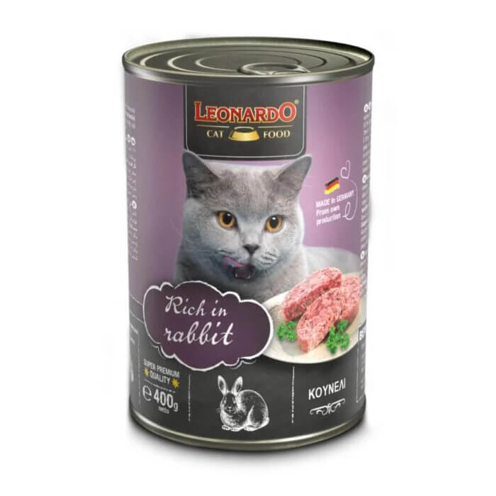 Leonardo cat exquisito conejo