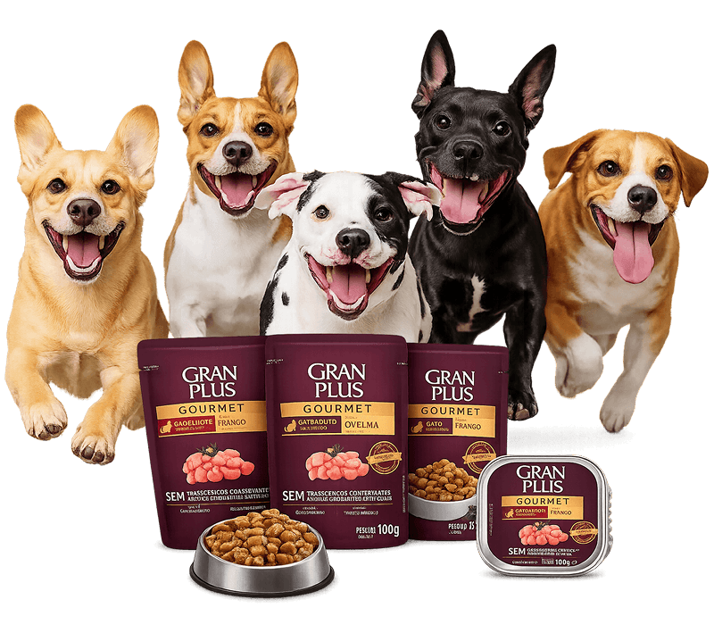 Gran Plus Gourmet alimentación premium - Cholito Feliz Spa Pet Shop